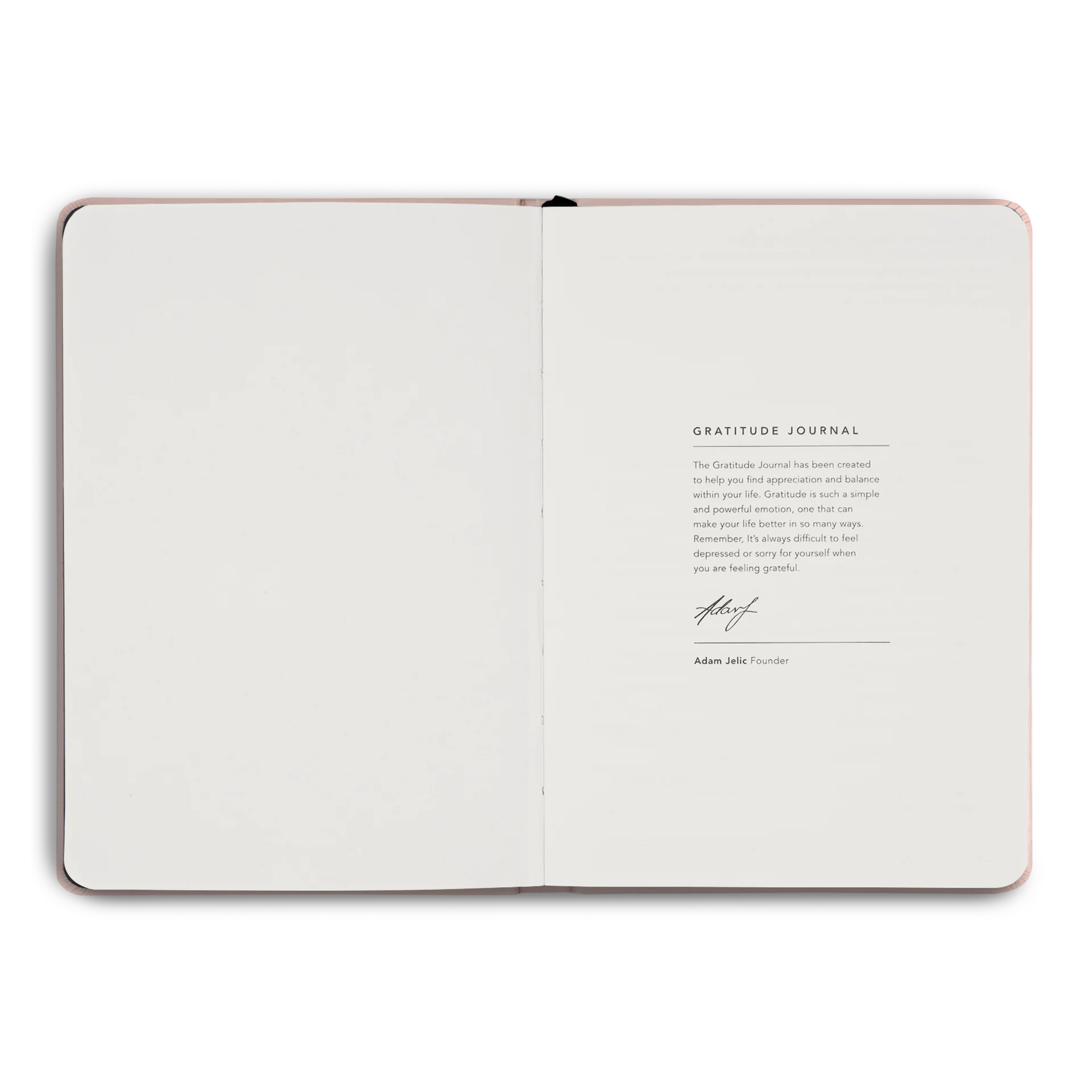 Gratitude Journal - Image 10
