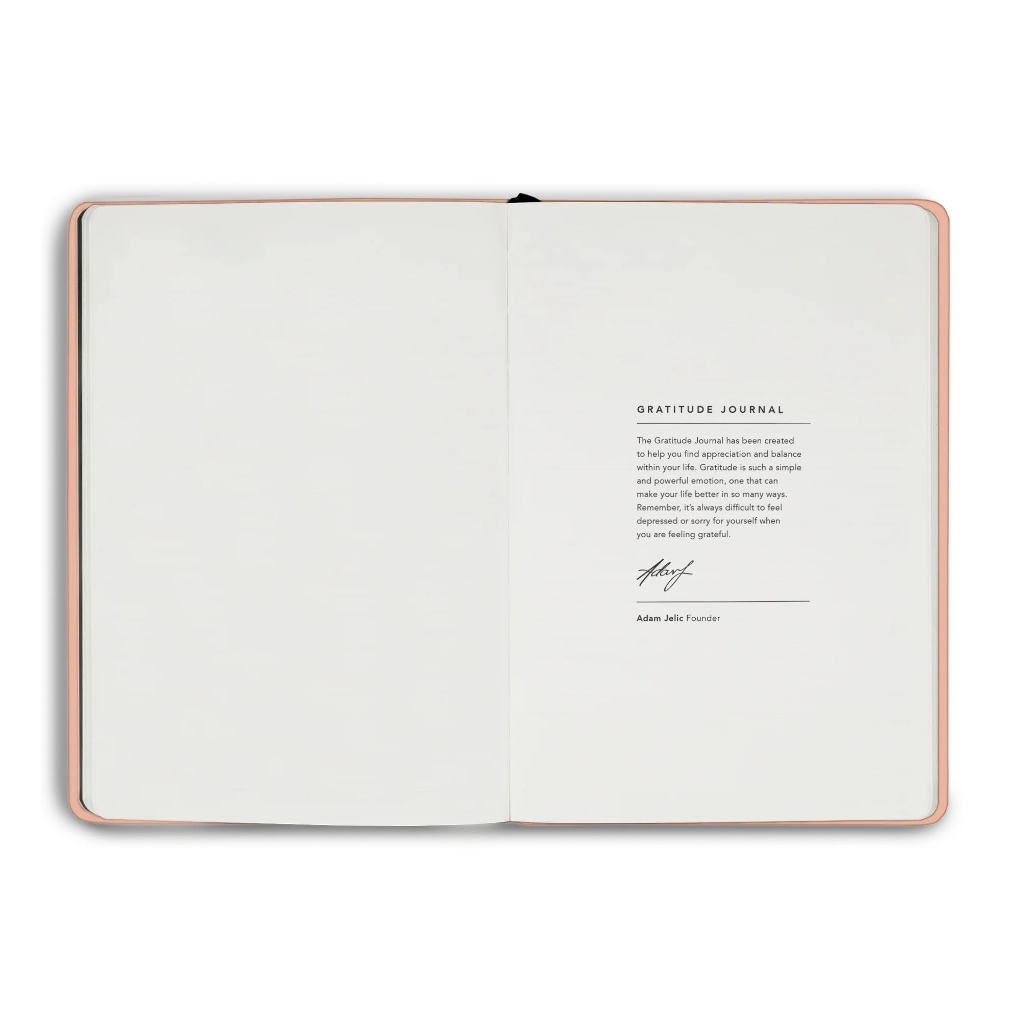 Gratitude Journal - Image 41
