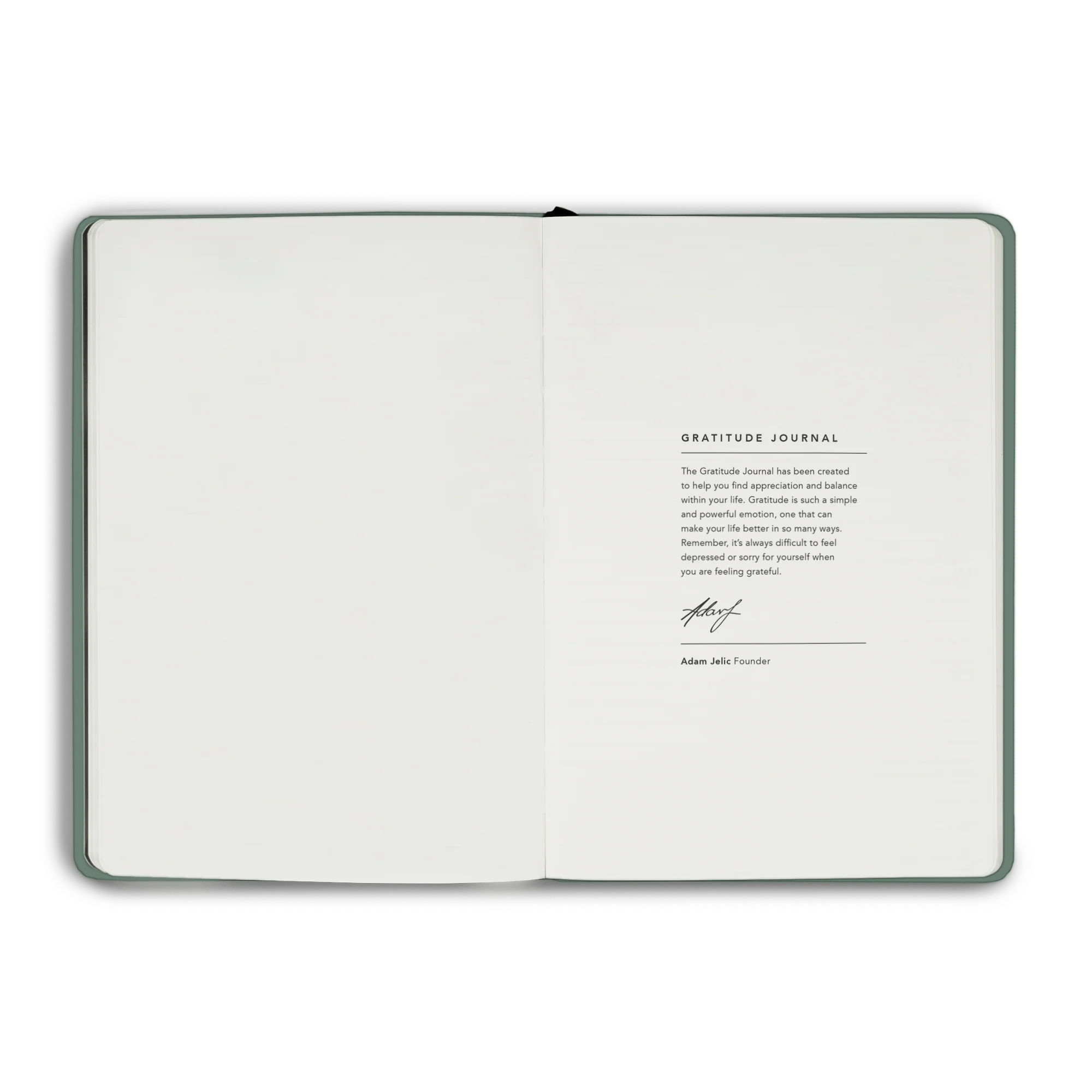 Gratitude Journal - Image 46