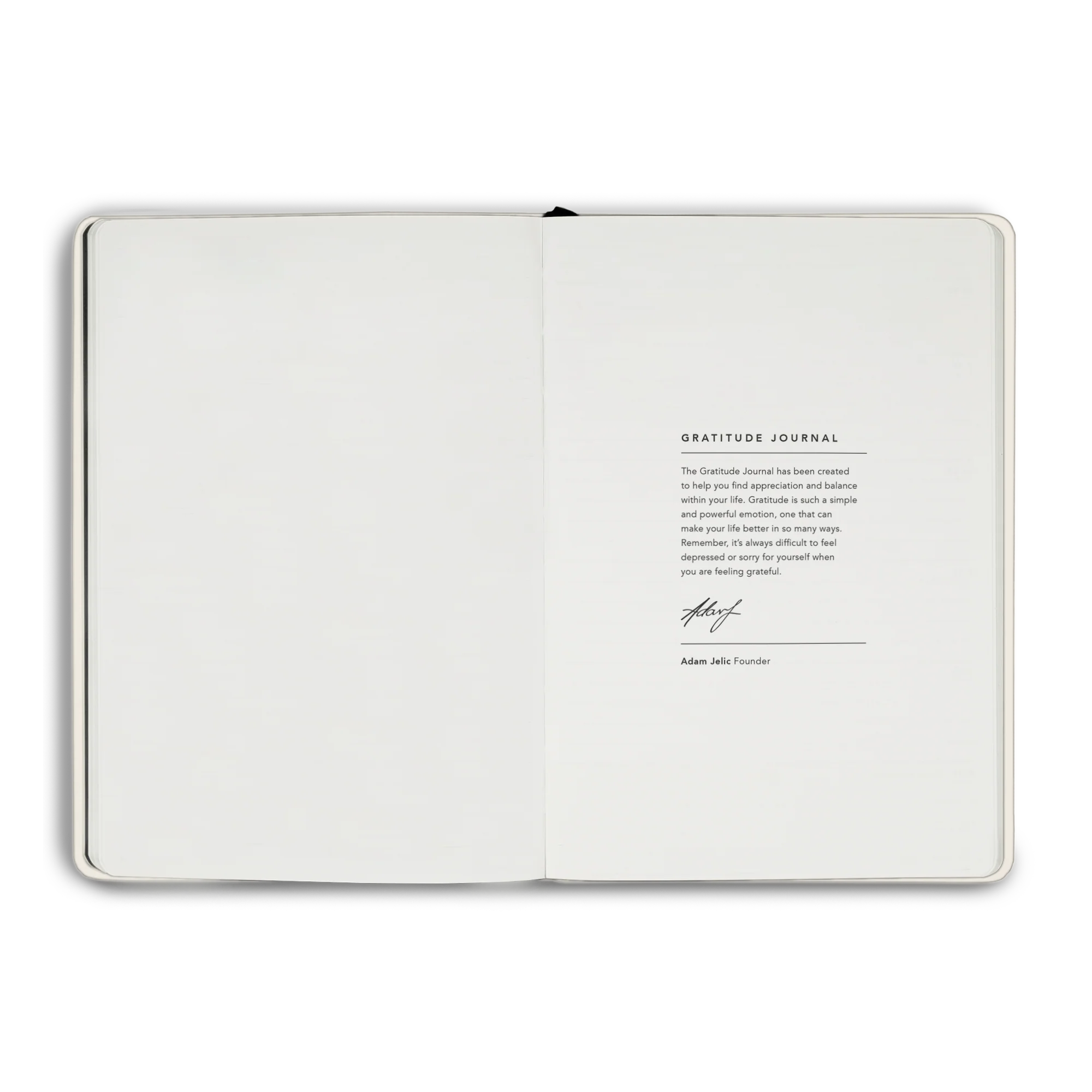 Gratitude Journal - Image 52